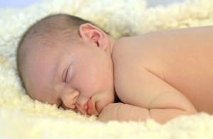 Newborn photos - baby lily