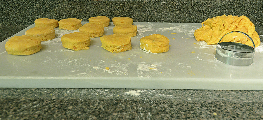 sweet potato biscuits - dough rounds - 2